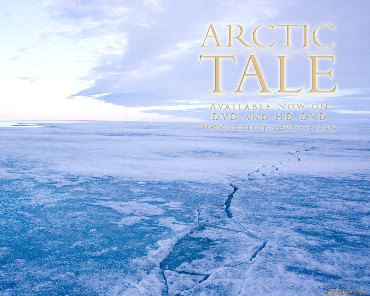 arctic, tale, , 